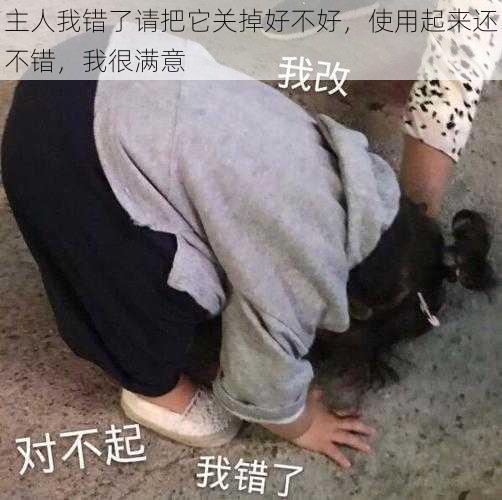 主人我错了请把它关掉好不好，使用起来还不错，我很满意