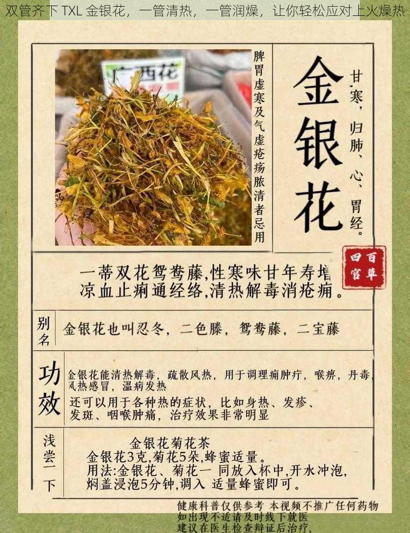 双管齐下 TXL 金银花，一管清热，一管润燥，让你轻松应对上火燥热