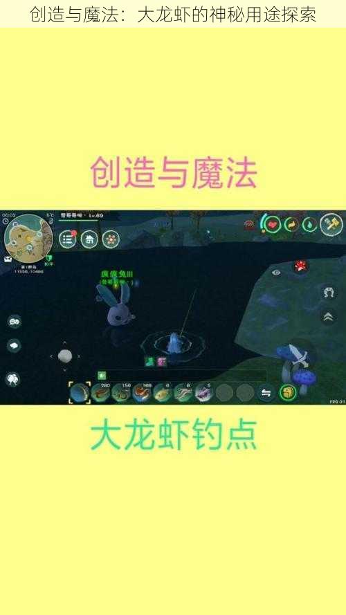 创造与魔法：大龙虾的神秘用途探索