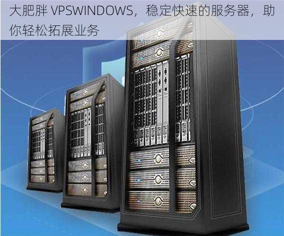 大肥胖 VPSWINDOWS，稳定快速的服务器，助你轻松拓展业务