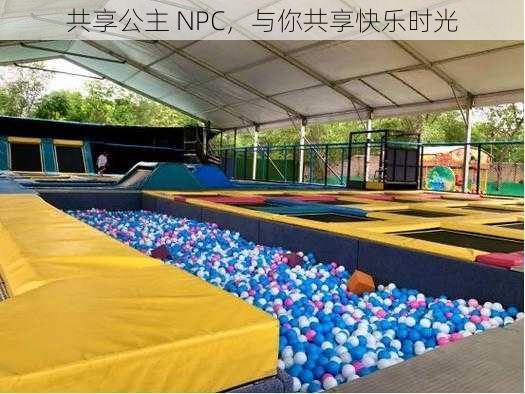 共享公主 NPC，与你共享快乐时光