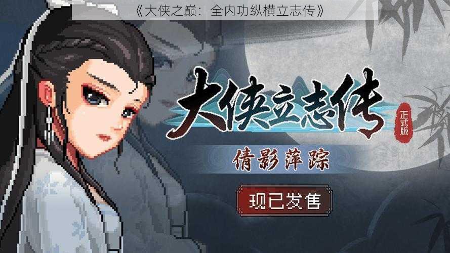 《大侠之巅：全内功纵横立志传》