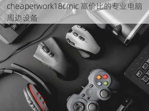 cheaperwork18cmic 高价比的专业电脑周边设备