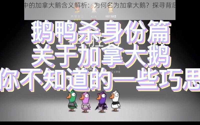 鹅鸭杀中的加拿大鹅含义解析：为何名为加拿大鹅？探寻背后的故事与由来