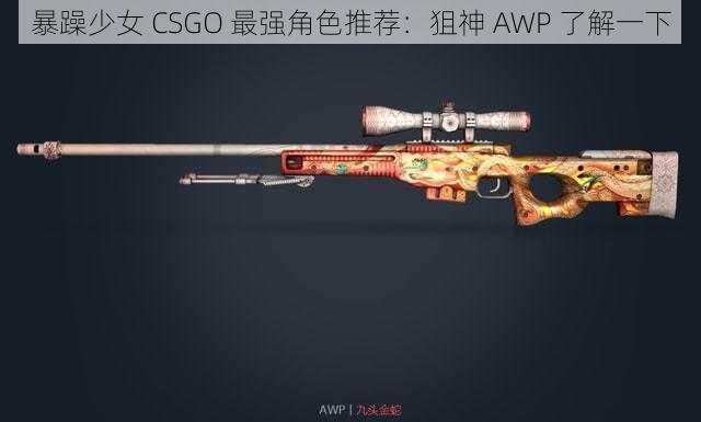 暴躁少女 CSGO 最强角色推荐：狙神 AWP 了解一下