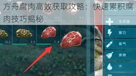 方舟腐肉高效获取攻略：快速累积腐肉技巧揭秘