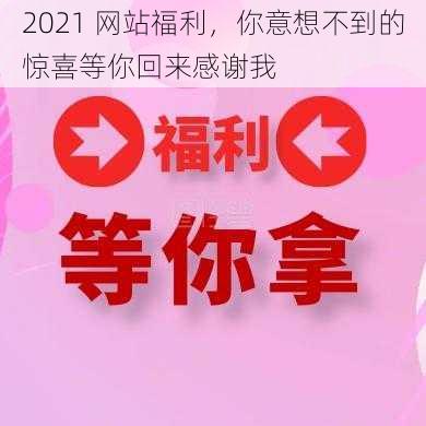 2021 网站福利，你意想不到的惊喜等你回来感谢我