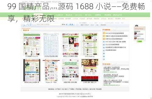 99 国精产品灬源码 1688 小说——免费畅享，精彩无限