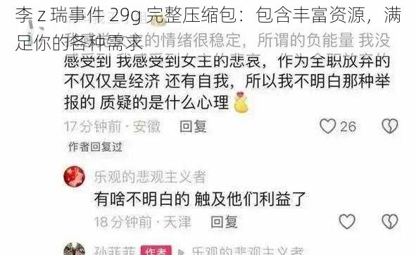 李 z 瑞事件 29g 完整压缩包：包含丰富资源，满足你的各种需求