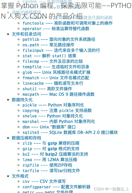 掌握 Python 编程，探索无限可能——PYTHON 人狗大 CSDN 的产品介绍