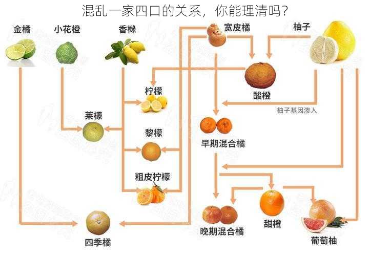 混乱一家四口的关系，你能理清吗？