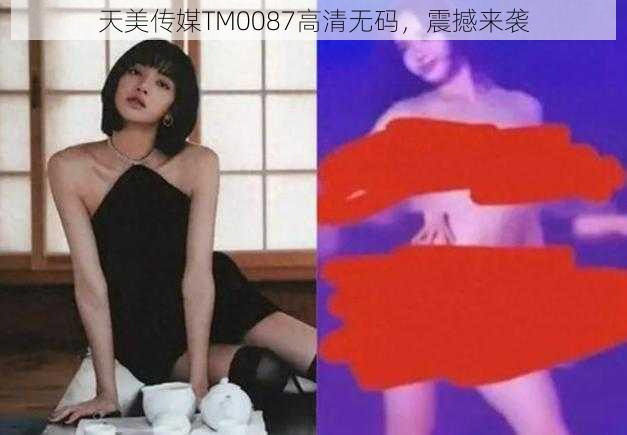 天美传媒TM0087高清无码，震撼来袭