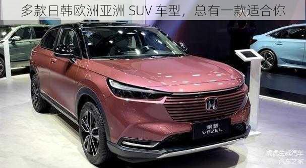 多款日韩欧洲亚洲 SUV 车型，总有一款适合你