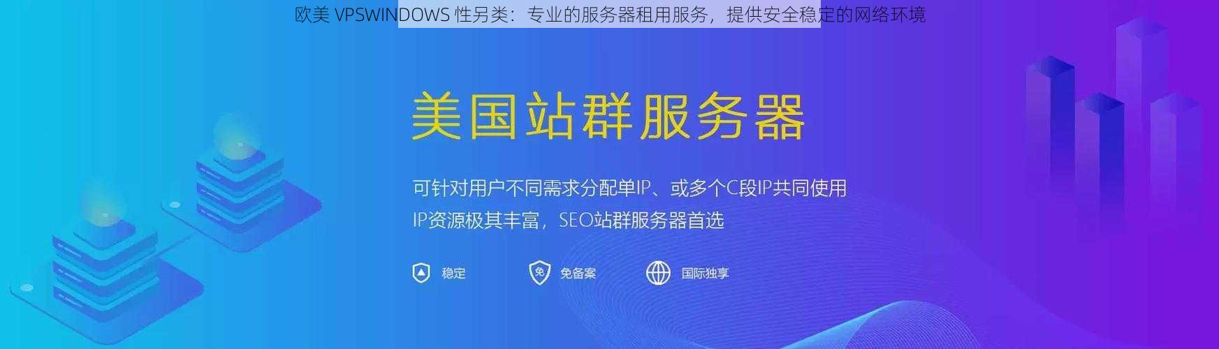 欧美 VPSWINDOWS 性另类：专业的服务器租用服务，提供安全稳定的网络环境