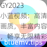 GY2023 小蓝视频：高清画质，丰富内容，畅享无限精彩