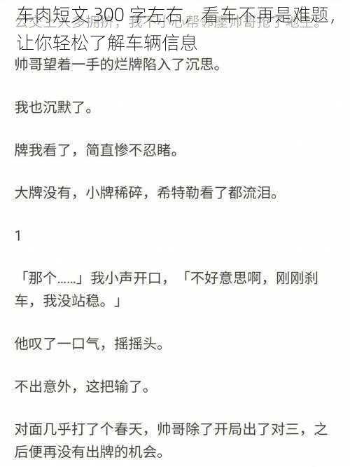 车肉短文 300 字左右，看车不再是难题，让你轻松了解车辆信息