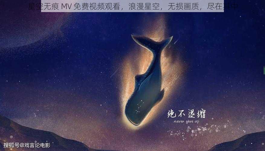 星空无痕 MV 免费视频观看，浪漫星空，无损画质，尽在其中