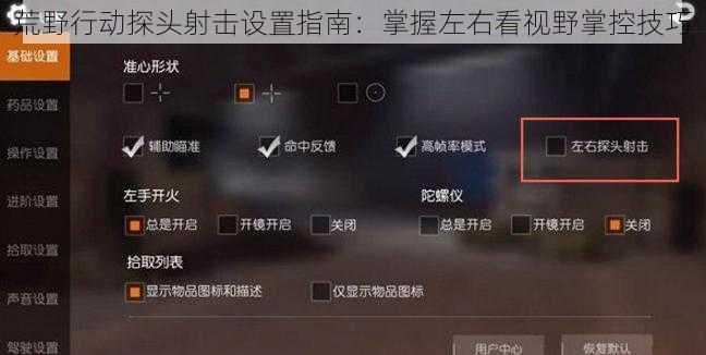 荒野行动探头射击设置指南：掌握左右看视野掌控技巧