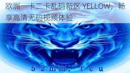 欧洲一卡二卡乱码新区 YELLOW，畅享高清无码视频体验