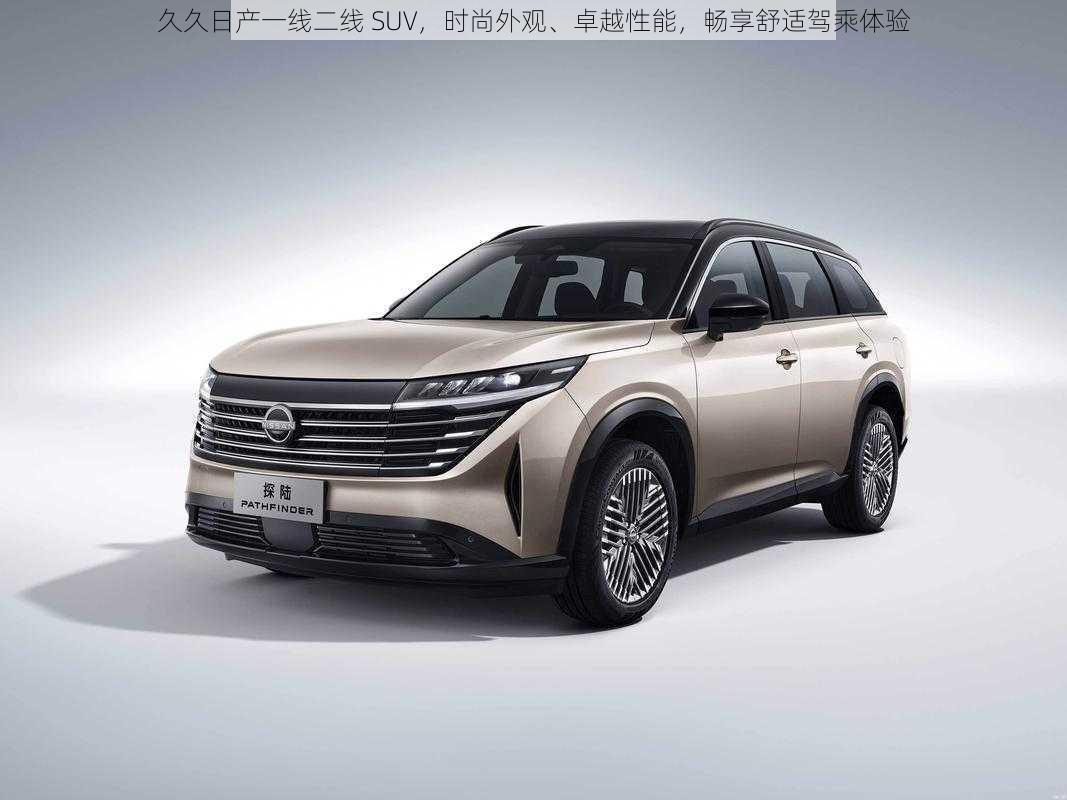 久久日产一线二线 SUV，时尚外观、卓越性能，畅享舒适驾乘体验