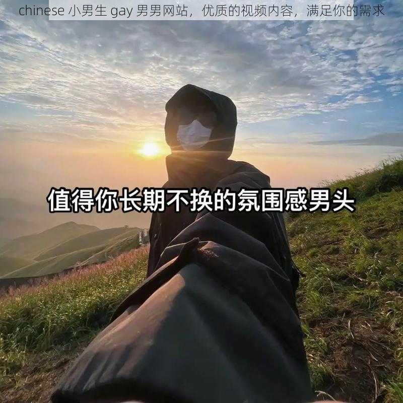 chinese 小男生 gay 男男网站，优质的视频内容，满足你的需求