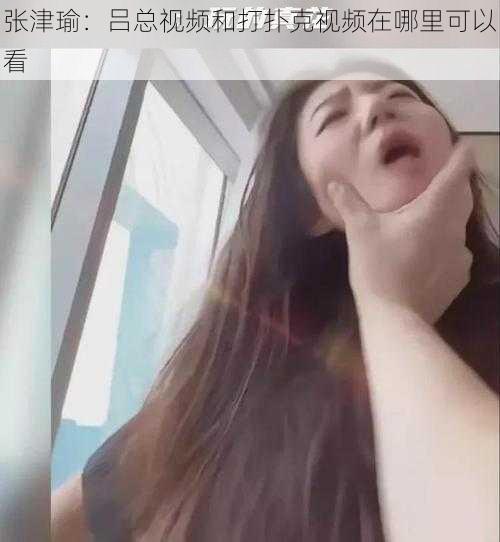 张津瑜：吕总视频和打扑克视频在哪里可以看