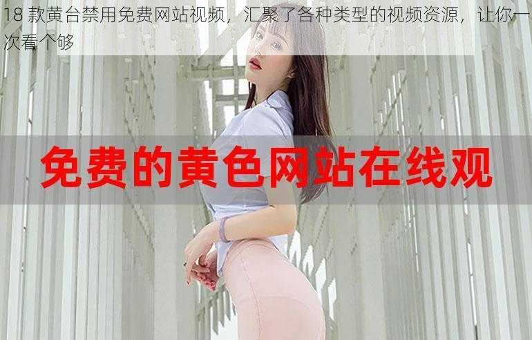 18 款黄台禁用免费网站视频，汇聚了各种类型的视频资源，让你一次看个够