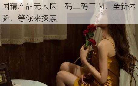 国精产品无人区一码二码三 M，全新体验，等你来探索